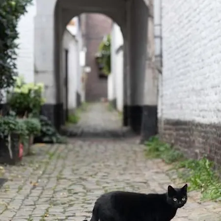 Apartamento Dans L'impasse *