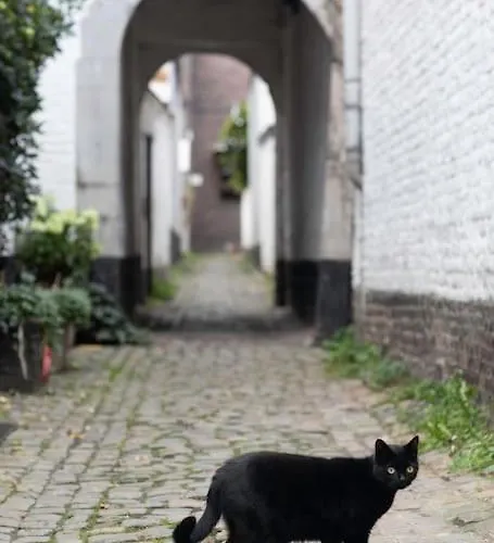 Apartamento Dans L'impasse *